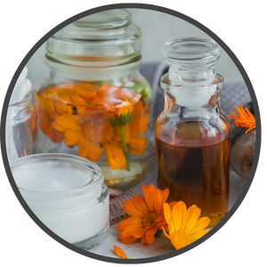 Calendula-Extract-excrept