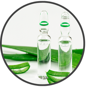 Aloe-Vera-Extract-excrept