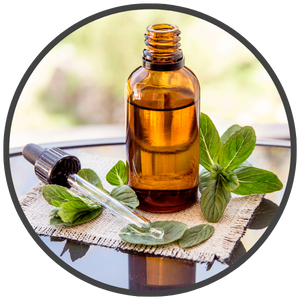 Peppermint-Oil-excrept